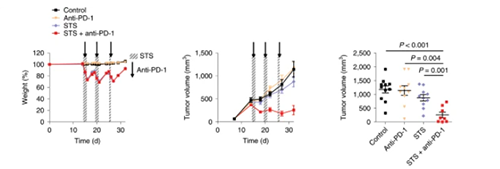 与对照组及仅使用PD-1疗法的模型幼鼠对比，选取短期饥饿共同PD-1疗法的393P细胞同源移植肿瘤幼鼠体内的肿瘤体积有了显著的收缩。