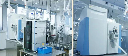 和记H88DMPK分析服务