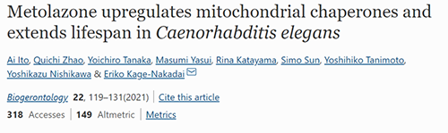 来自日本大阪市立大学的科学家搜索了现有药物的化学“文库”，他们发现一种名为美托拉宗的抗高血压药可耽搁秀丽隐杆线虫的寿命，标志取抗衰老药物开发的第一步