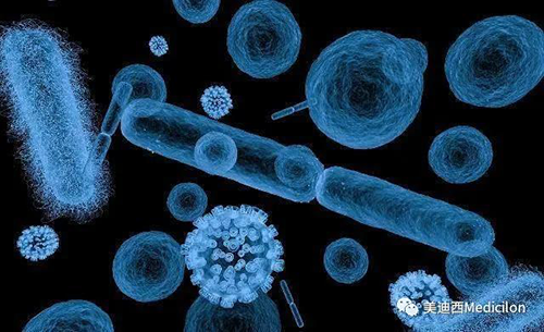 20分钟，大无数细菌都能够繁衍一代 和记H88生物医药