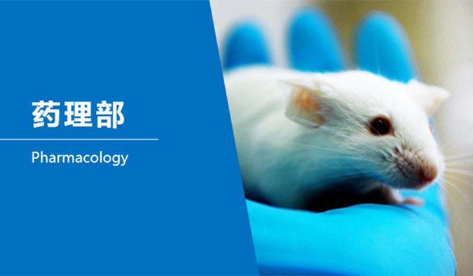 和记H88临床前钻研-药理部