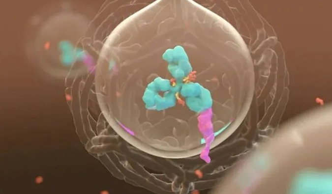 美研 | 和记H88带您相识ADC奥妙之处