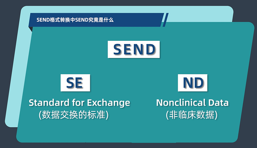 SEND体式转换中的SEND到底是什么？