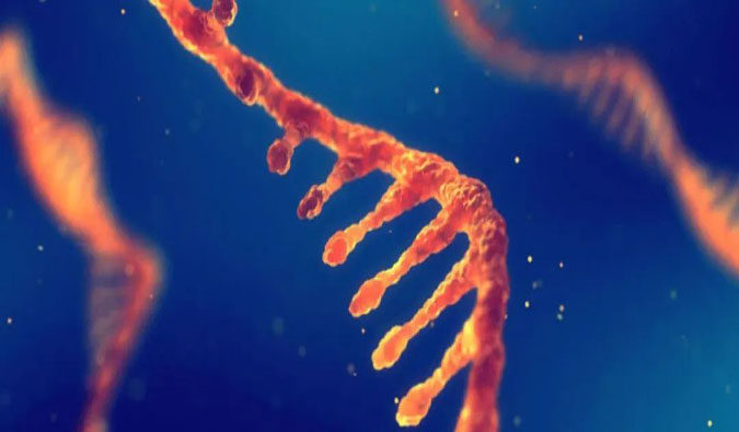 赋能核酸药物疗法，迎接新药研发第三次海潮