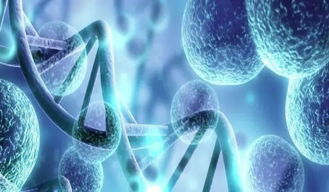 全流程服务驱动细胞&基因医治药物研发