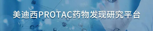 和记H88protac药物发现钻研平台.jpg