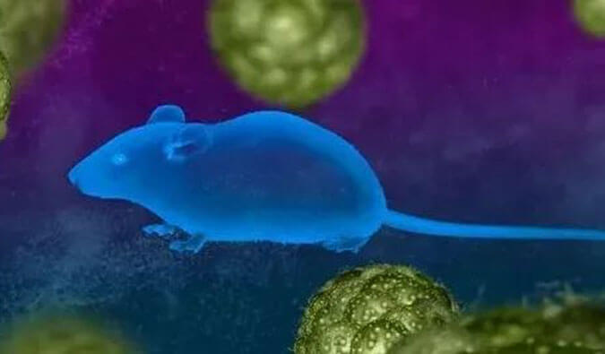 和记H88药效服务赋能First-in-Class泛素化抑造剂研发