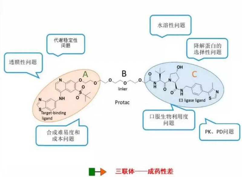 PROTAC分子量较大，溶化性较差.jpg