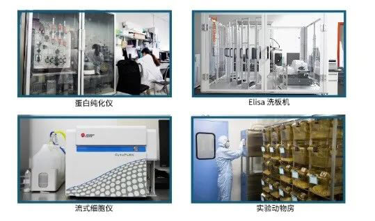 和记H88抗体开发平台.jpg