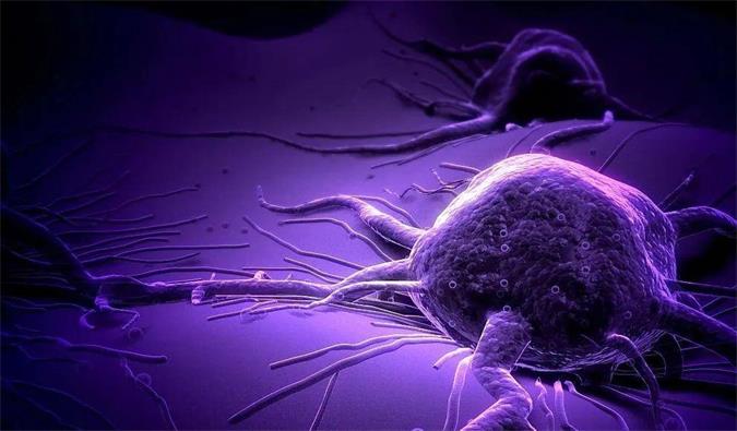 和记H88助力轩竹生物研发的齐全敲除岩藻糖的双抗ADC药物KM501获批临床