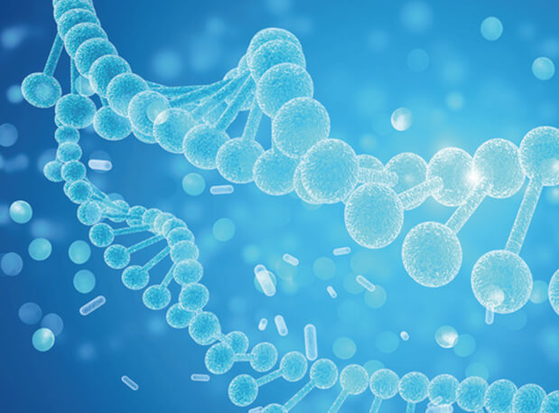 和记H88新分子类型钻研会系列 | 一站式赋能核酸药物和疫苗研发及临床专场
