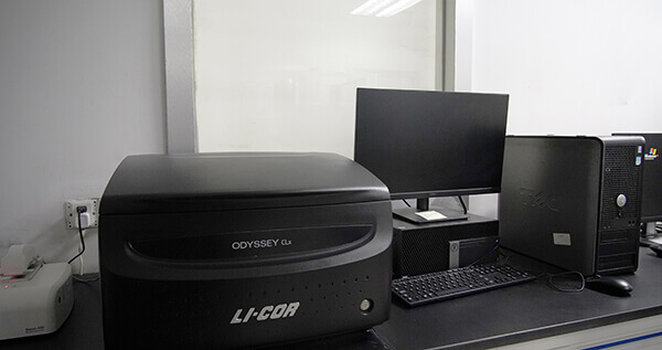 双色红表激光成像仪