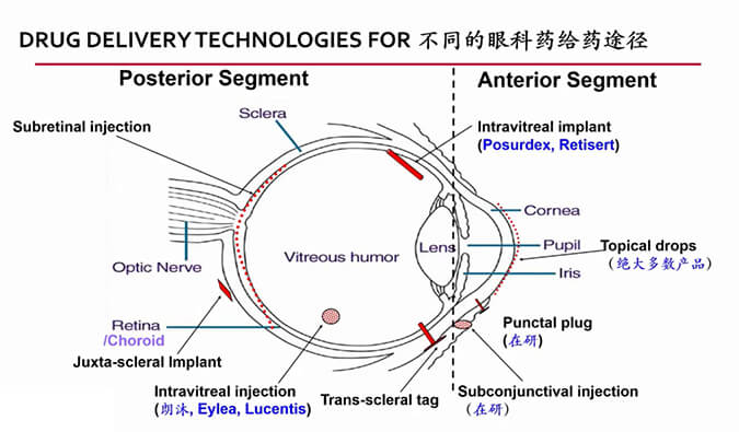 【内附回放+下半场预约】和记H88眼科药物专题钻研会上半场杰出回首