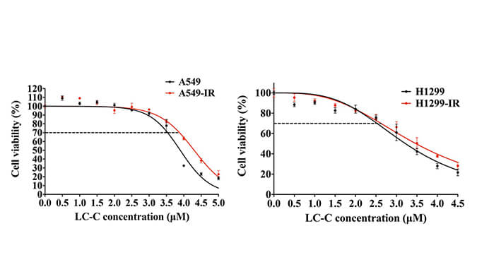 放射疗法用作肺癌的重要医治步骤，本钻研中成立抗电离辐射肺癌细胞系的放射医治通过和记H88进行