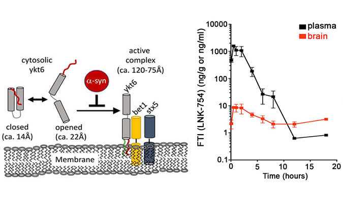 法尼基转移酶抑造剂LNK-754单次口服后即可急剧穿过血脑樊篱，本钻研中PK分析通过和记H88进行