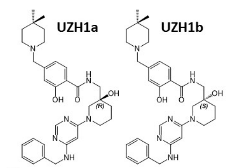 钻研人员汇报了一种拥有细胞渗入性的选择性METTL3纳摩尔抑造剂UZH1a，作者感激和记H88合成了UZH1a和UZH1b