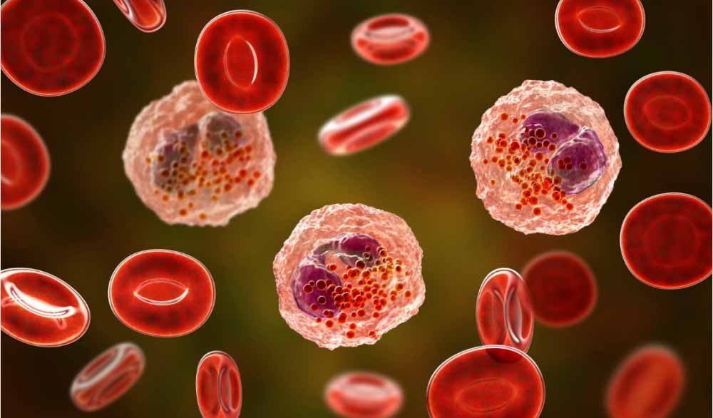 和记H88助力 | 全球初创！宇耀生物STAT3双磷酸化抑造剂YY201获批临床.jpg