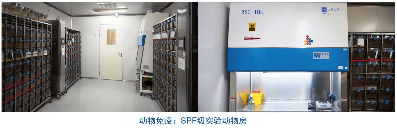 和记H88杂交瘤技术平台设备-动物免疫SPF级尝试动物房