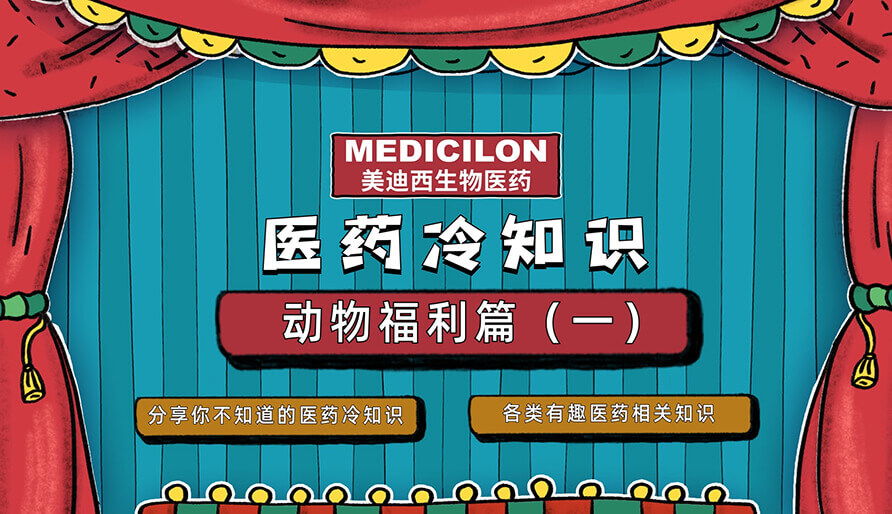 你不知路的猴子幼福利