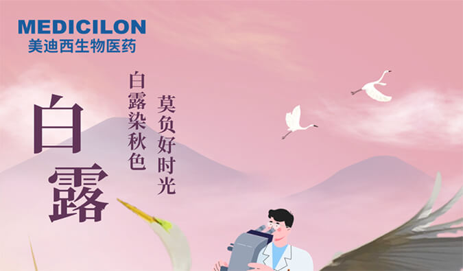 白露 | 白露染秋色，莫负好时光