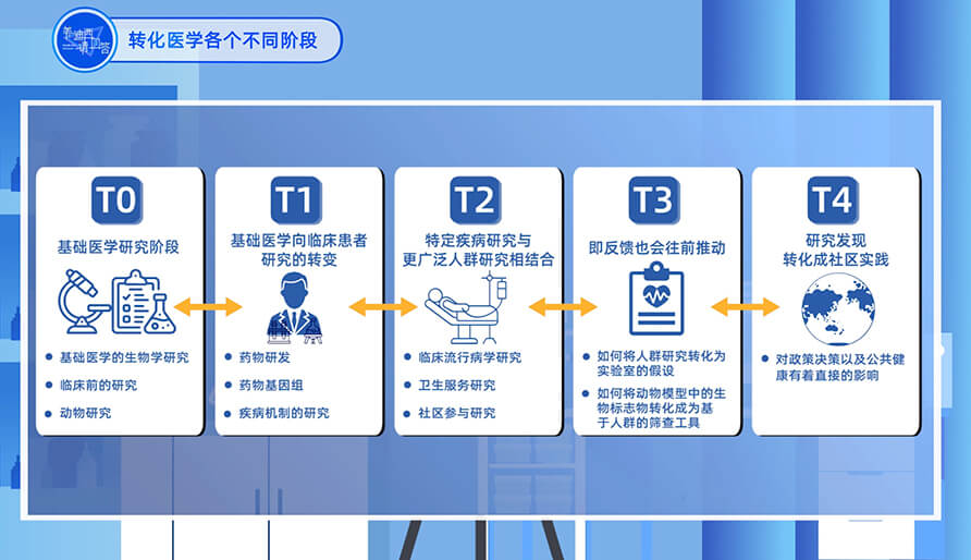 转化医学的各个分歧阶段