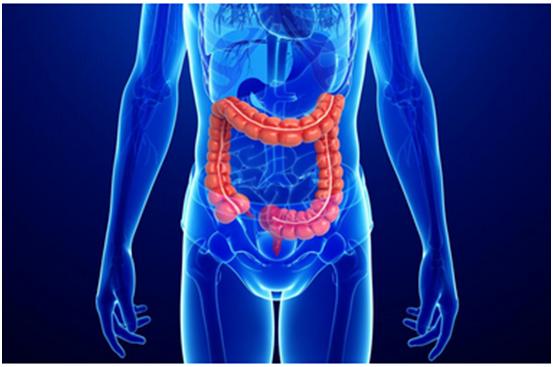 和记H88一站式助力 | 宝太生物首个中美双报创新药获批
