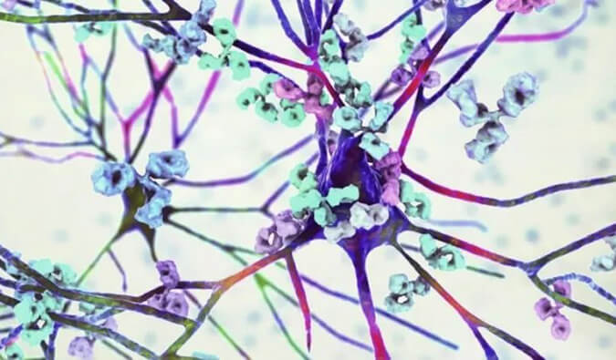 和记H88镇痛药效评价模型