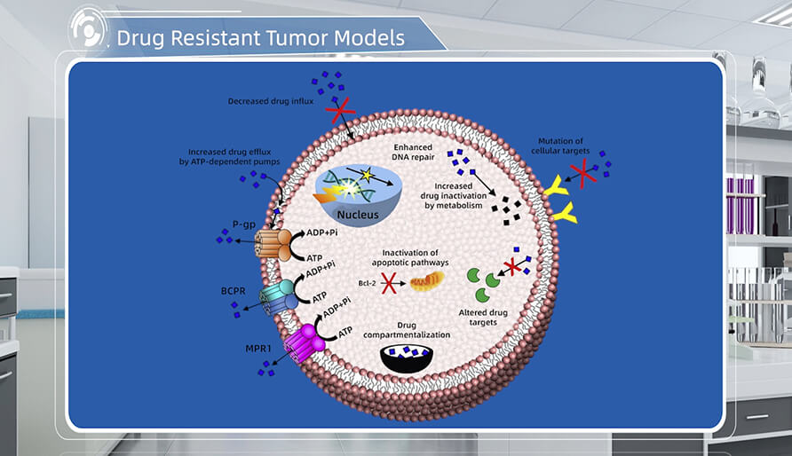 肿瘤耐药机造是什么？