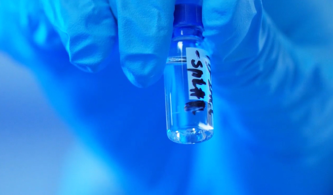 GLP-1“竞快赛”何以夺魁？