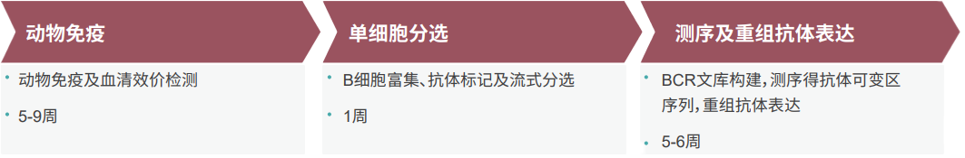 和记H88单B细胞抗体发显旖台