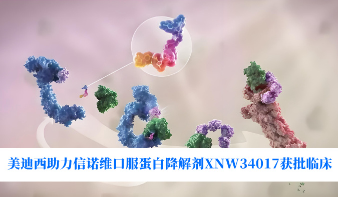 和记H88助力合作同伴信诺维口服蛋白降解剂XNW34017获批临床