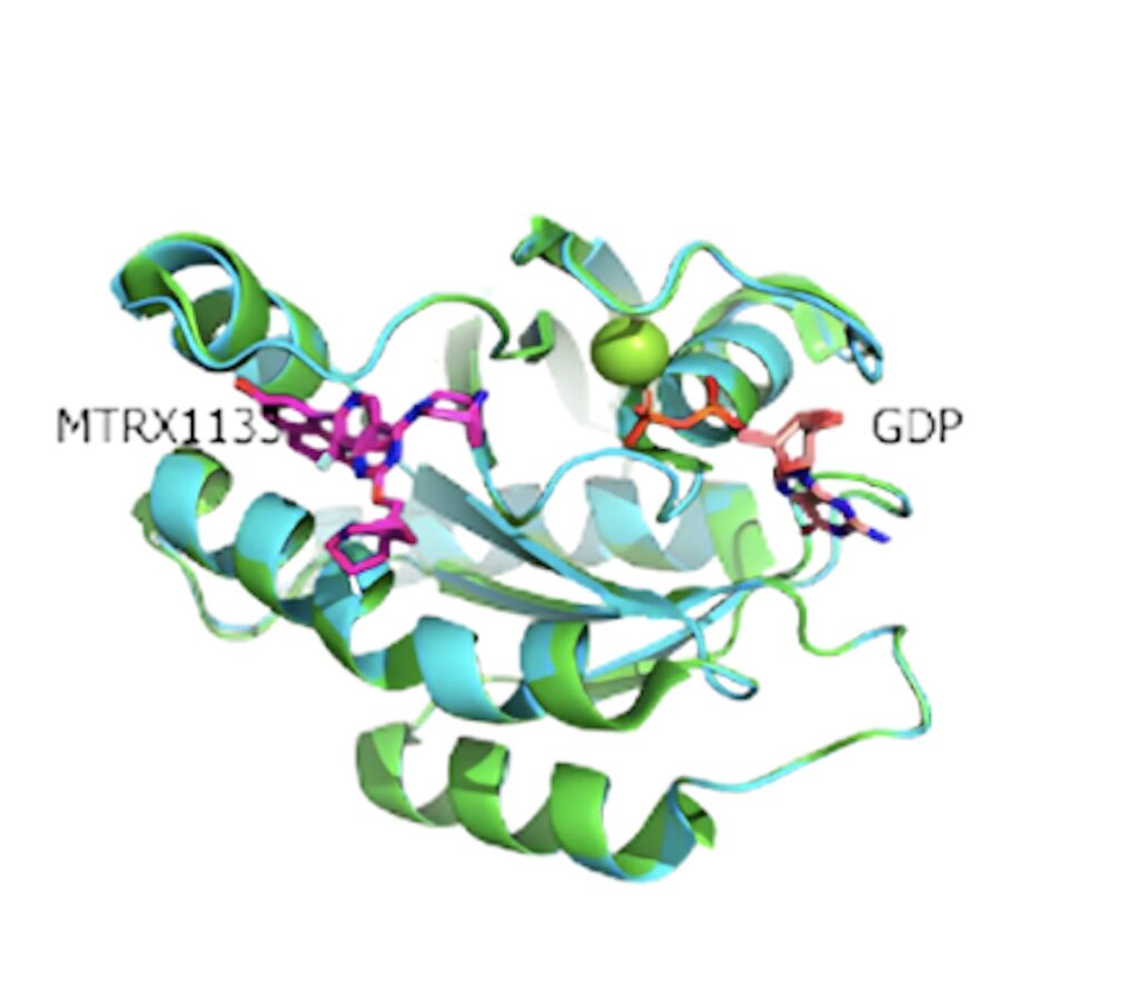 KRAS G12D -MRTX1133（靶标抑造剂）共结晶.jpeg